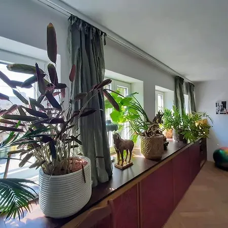 Gartenwohnung Appartement